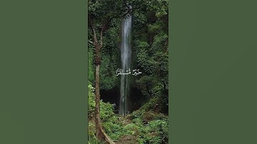 القرآن الكريم - سورة الفرقان - عبد الرحمن مسعد.       #عبدالرحمن_مسعد #القرآن_الكريم #شفاء_الصدور