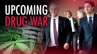 Canadas Impending Marijuana War Joe Warmington