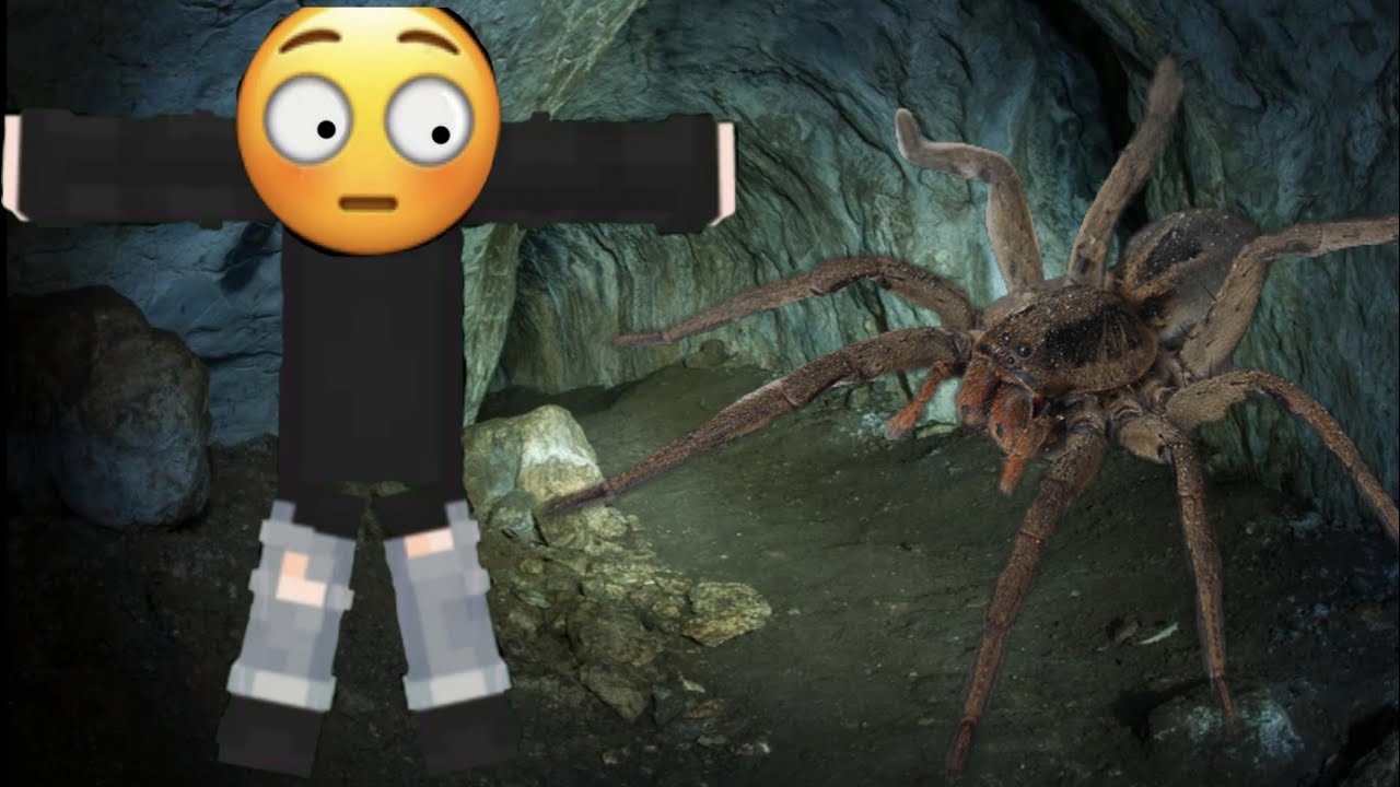 Арахнофобия - YouTube