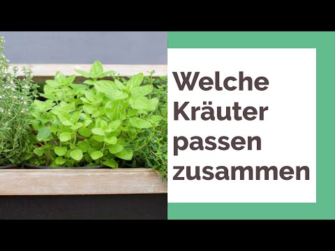 Video: Pflanzung neben Zitronengras: Passende Zitronengras-Begleiter im Garten