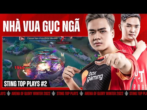 TDT HẠ GỤC NHÀ ĐƯƠNG KIM VÔ ĐỊCH SGP | STING TOP PLAYS #2 ĐTDV MÙA ĐÔNG 2022