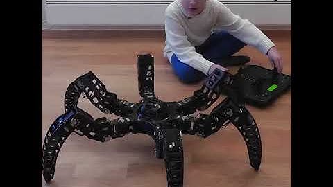 Meet MX Phoenix Hexapod Robot