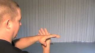 24 Form Tai Chi - Lesson 5 - White Crane Spreads its Wings