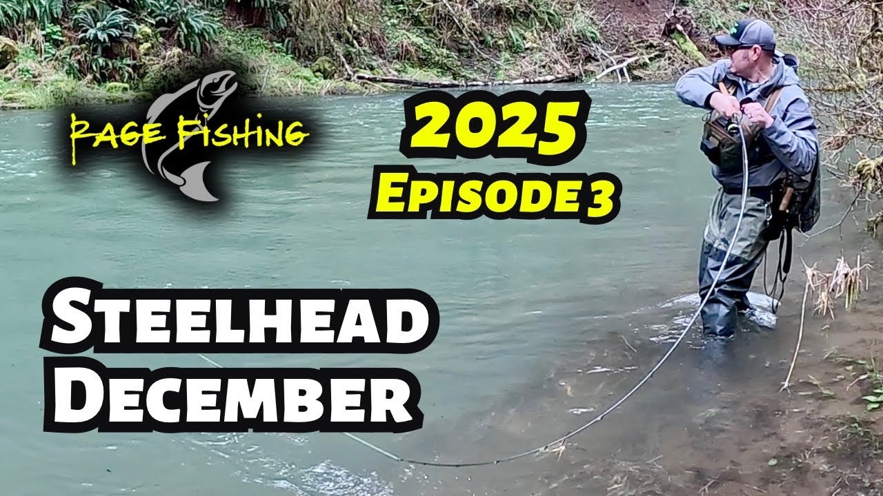 STEELHEAD DECEMBER 2025 SERIES EP. 3 - STEELHEAD SCOUTING DAY 2 OF 2  -  WATER'S HIGH? FISH HIGH!