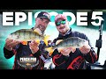 PERCH PRO 6 - Episode 5