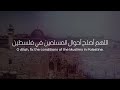 Dua For Palestine فلسطین کے لیے دعا Imani إيماني