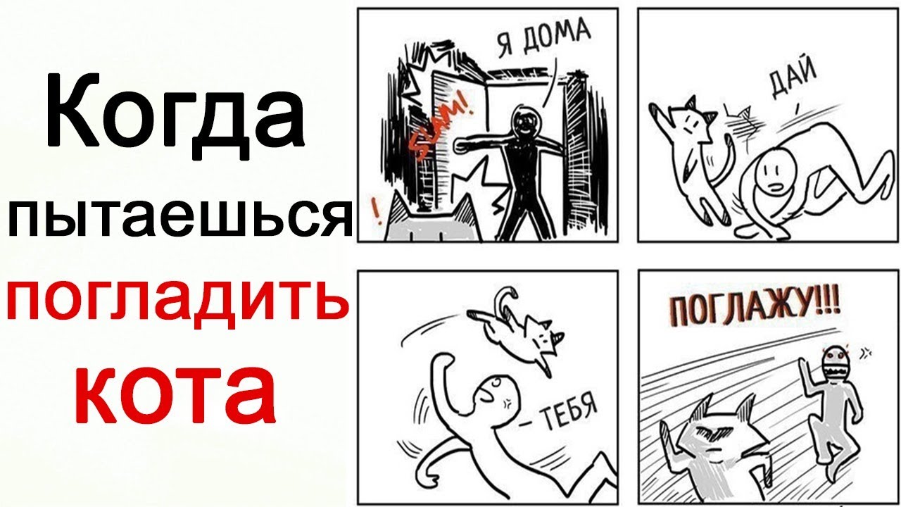 Попросил погладить. Когда пытаешься погладить кота. Когда пытаешься погладить кота Мем. Кота гладят Мем. Когда гладишь кота Мем.