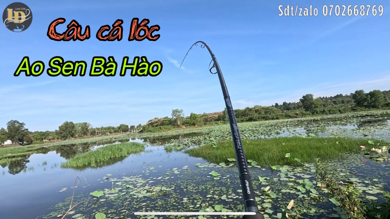 Law Dìn // câu cá lóc Bà Hào , mưa xuống nước lên cá ăn mạnh …