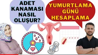 ADET KANAMASI NASIL OLUR ? ve YUMURTLAMA GÜNÜ HESAPLAMA w/ @Rabia ŞAHİN