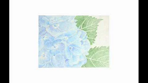 紫陽花のうた 浜田省吾 Mp3 紫陽花のうた 浜田省吾 Mp3