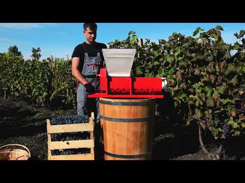 Ръчна роначка за грозде DG07 Ръчна гроздомелачка преса 2 в 1 TEHNO MS