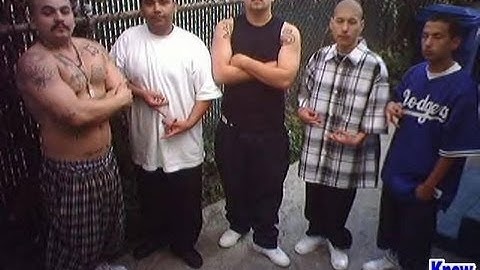 (cmlv.rp)PLM13 - I say gtfo so GTFO!