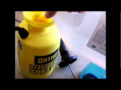 HOW TO MAKE YOUR OWN HOMEMADE WEED KILLER AND GRASS KILLER /MBJreport