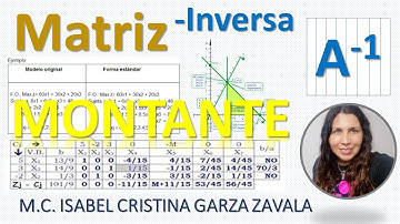 Matriz Inversa Método Montante
