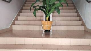 Wangsa Village Inn, Tebrau, Malaysia | Travel With Bhavya