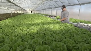 Buy Fresh Buy Local: Oak Ridge Farms
