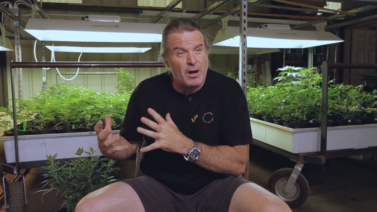 FirstTime Cannabis Growing Tips Kevin Jodrey / Green Flower Media