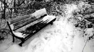 subzar - as memories fade, that which remains... (official music video)