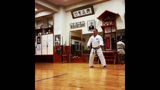 屋良グァヌトゥンファー Yaragwa nu Tunfa #信武舘 #古武道 #karate #shimbukan #okinawa #空手 #kobudo #japan #日本文化 #沖縄