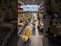 【ロジ猫ミュウの物流センター】#物流 #アニメ #animation #logistics #shorts