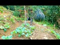 Make a wooden mortar - Cooking pig food - take care of the potato garden - Live with nature | Ep.57