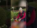 How Far Apart Do You Plant Seedlings Gardening Australia How Far Apart Do You Plant Seedlings Gardening Australia