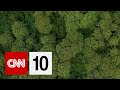 Gorilla Population and Conservation Issues