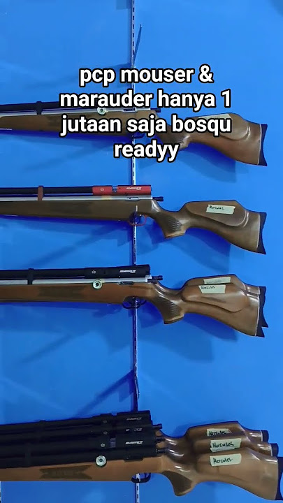 PCP MOUSER CUMAN SATU JUTAAN AJA #senapananginterbaik #airsoft #senapanberkualitas #senapan