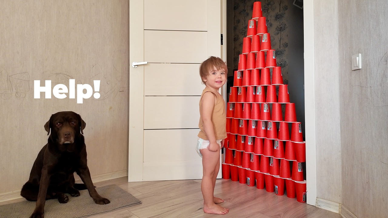 Смогут ли они выбраться из этой ловушки?