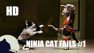 Funny Ninja Cats - Funny Cats Compilation 2017