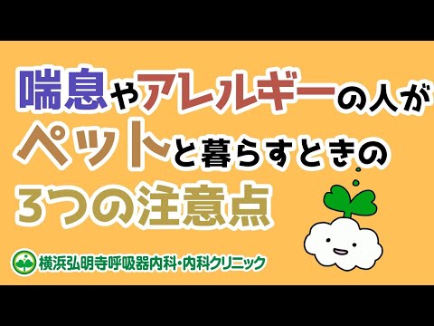喘息でもペットを飼いたい人の対策と注意点 横浜弘明寺呼吸器内科クリニック健康情報局 喘息でもペットを飼いたい人の対策と注意点 横浜弘明寺呼吸器内科クリニック健康情報局