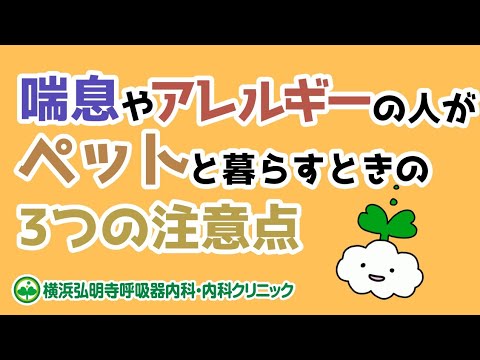 喘息でもペットが飼いたい人の対策と注意点！犬・猫・鳥、ペットの毛の対策とは？(横浜弘明寺呼吸器内科・内科クリニック)