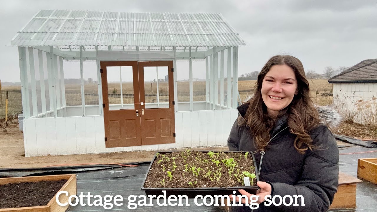 New Romantic Flower Seeds Arrived + Greenhouse Update & Ranunculus Progress 