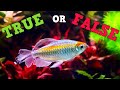 You've Been LIED To About Water Changes, New Series "True Or False"