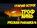 русская рыбалка 4 - Линь озеро Старый Острог - рр4 фарм Алексей Майоров russian fishing 4