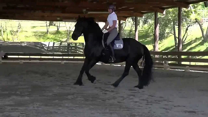 Jil V Monting & DeeAnne Gunnemann - 1st Level Test...