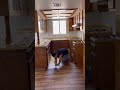 Installing sheet vinyl in kitchen