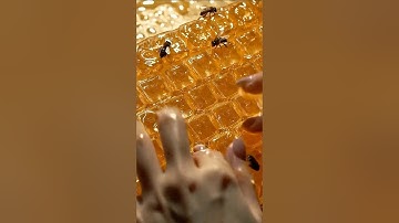 #ai #keyboard #relax #asmr #shorts