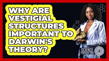 Why Are Vestigial Structures Important To Darwin