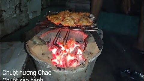 Chuột nướng chao - Đặc sản miền Tây