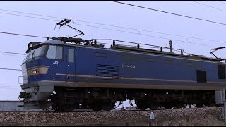 EF510-515牽引高速貨物3097ﾚ　岡山→新潟　信越本線下り