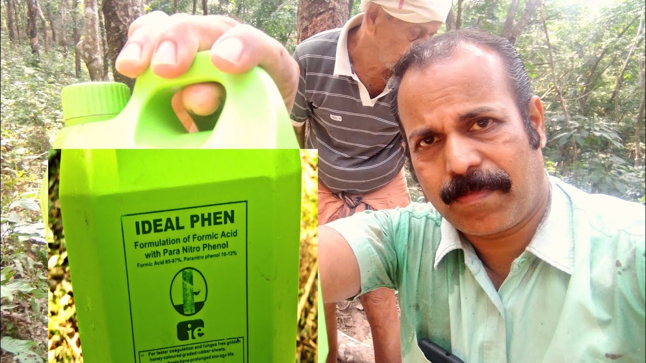 റബ്ബർ പാലിൽ ചേർക്കുന്ന ആസിഡ് നേർപ്പിക്കുന്ന അച്ഛന്റെ രീതി /formic acid mixing