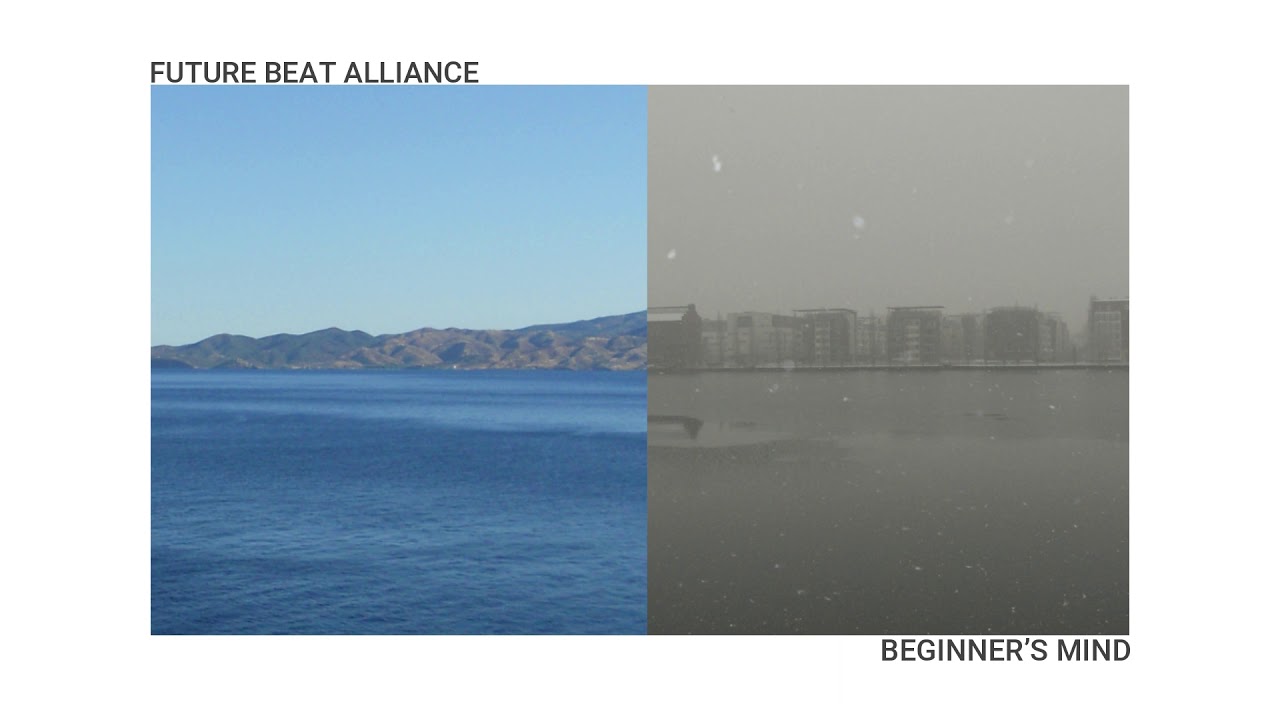 Future Beat Alliance - Window To The World