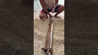 The most satisfying bamboo trap reveal ever! 🌊🦀