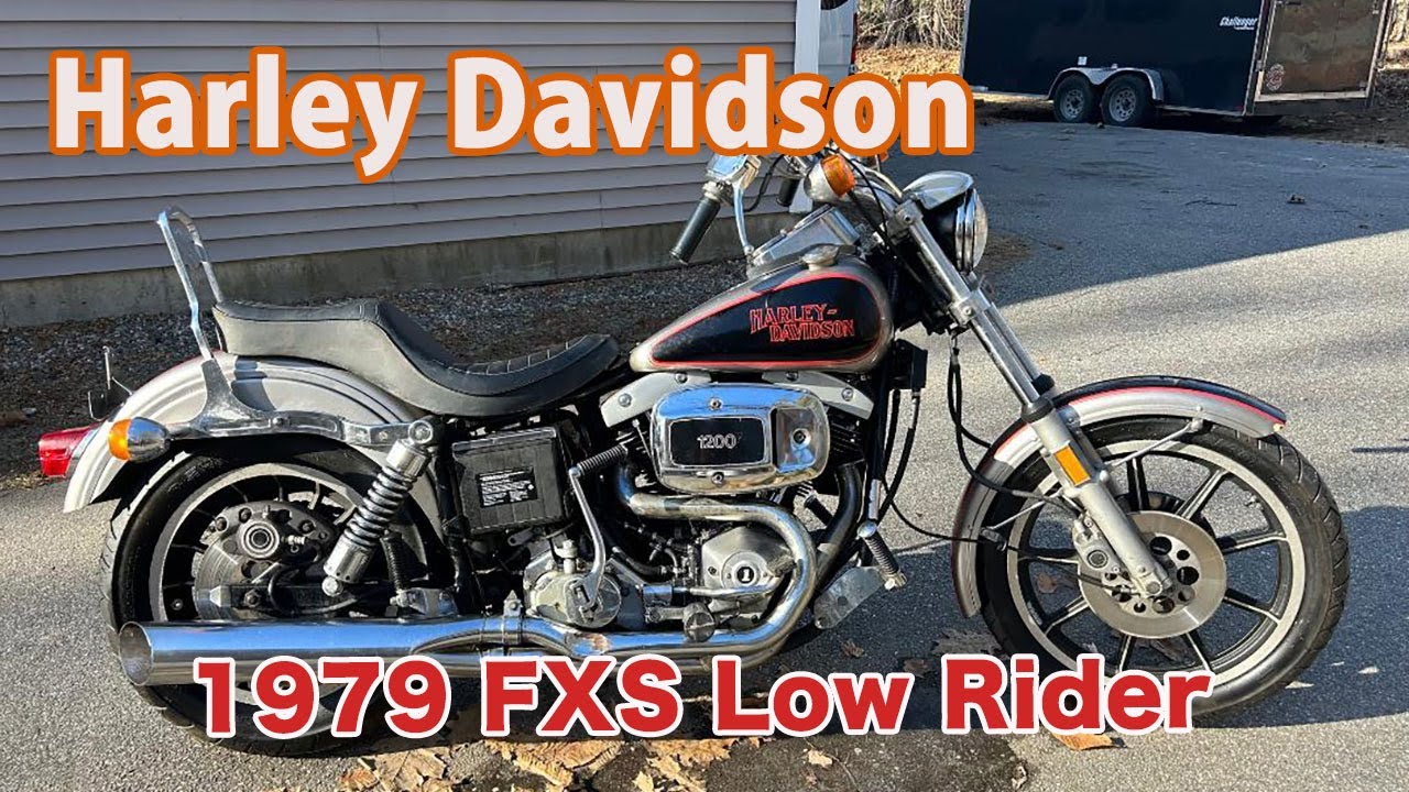 デジタル所さん⭐希少 ハーレーダビッドソン FXS1200 ローライダー ハーレーダビッドソン FXDLS Dyna Low Rider S 愛車レビュー・評価