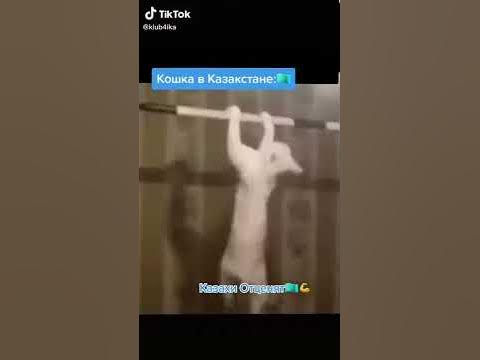 Мысык - YouTube