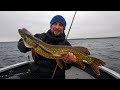 Моя лучшая рыбалка на спиннинг в жизни / Трофейная рыбалка в Беларуси
