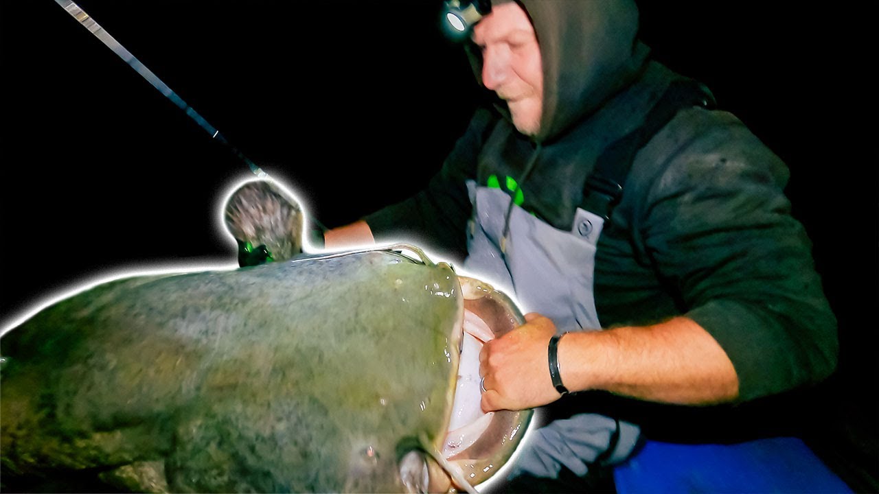 Unglaublicher Waller aus dem Flachwasser | Das Großfisch-Finale