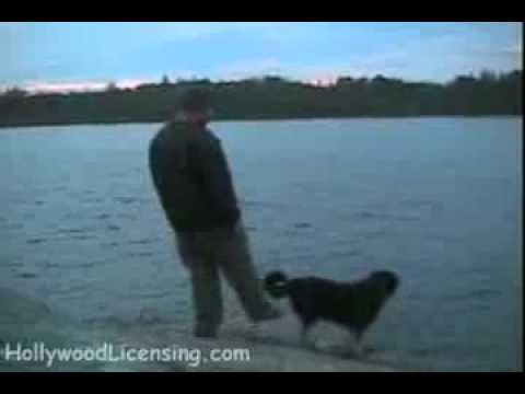 Man Tries To Push Dog Into Water