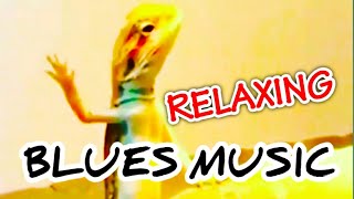 RELAXING BLUES MUSIC